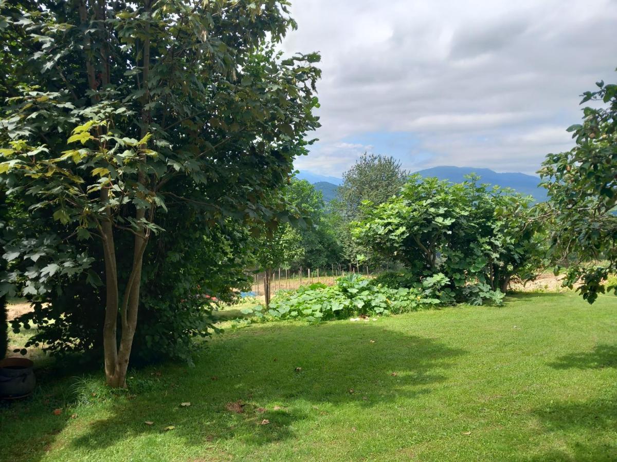 Villa Maisonnette A La Campagne Ariege Saint-Girons  Exterior foto